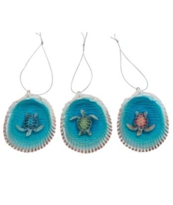 Concha Tortuga Decorativa 3 Unidades, Accesorio Náutico para Regalos y Decoración del Hogar, Estilo Marítimo