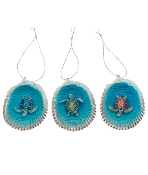 Concha Tortuga Decorativa 3 Unidades, Accesorio Náutico para Regalos y Decoración del Hogar, Estilo Marítimo