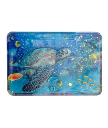 Imán Decorativo Tortuga Magnética para Regalos Originales, Decoración Náutica y Marinera para el Hogar