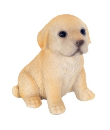 Figura de Perro Bohemio Decorativa en Resina para Adornos de Hogar, Regalos Originales y Accesorios para Amantes
