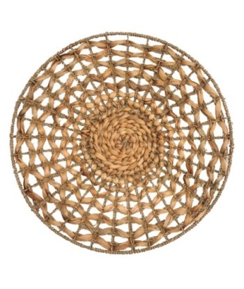Adorno de Pared Natural de Jacinto de Agua, Cuadro Decorativo de 55cm para Jardín y Espacios Exteriores
