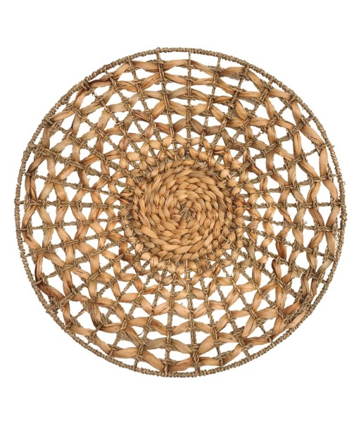 Adorno de Pared Natural de Jacinto de Agua, Cuadro Decorativo de 55cm para Jardín y Espacios Exteriores