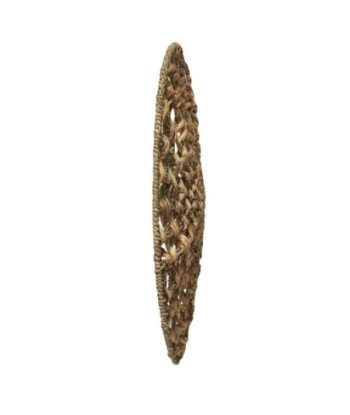 Adorno de Pared Natural de Jacinto de Agua, Cuadro Decorativo de 55cm para Jardín y Espacios Exteriores