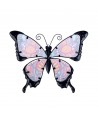 Mariposa gr.