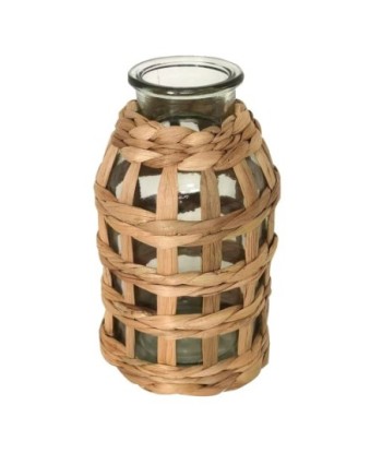 Jarrón Decorativo de Jacinto de Agua para Hogar, Estilo Natural, Accesorio de Decoración Elegante y Único