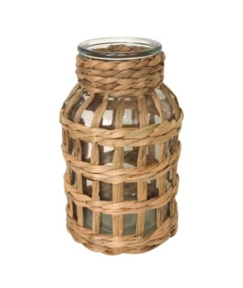 Jarrón Decorativo de Jacinto de Agua, Estilo Natural, Ideal para Decoración de Hogar, Accesorio Elegante y Funcional