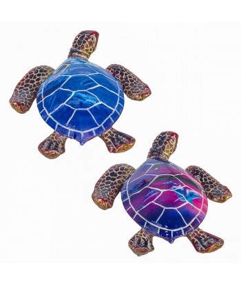 Placa tortuga 2 dif.