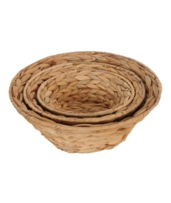 Cestas de Almacenamiento Naturales - Juego de 3 Cestas de Jacinto de Agua para Decoración y Organización del