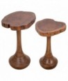 Conjunto de 2 mesitas auxiliares de madera de acacia