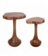 Conjunto de 2 mesitas auxiliares de madera de acacia