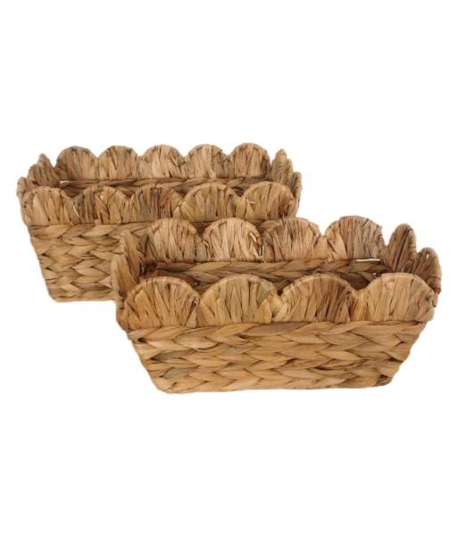 Cestas de Almacenamiento de Jacinto de Agua - Juego de 2 Cestas Decorativas para Organización del Hogar