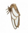 Adorno Pared Cigarra con Espejo - Decoración Única para tu Hogar