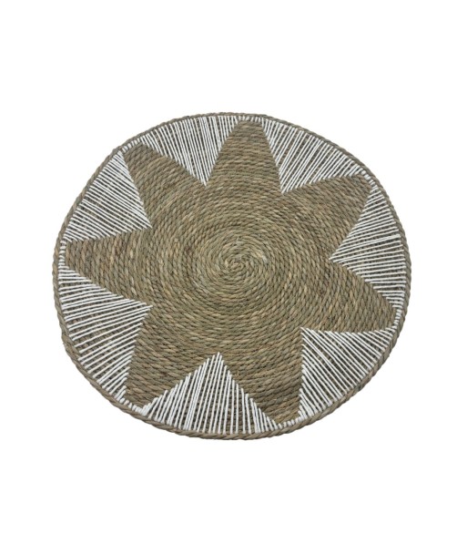 Adorno de Pared Natural para Jardín, Decoración Moderna, Cuadro de Palma y Hierba Marina, Estilo Único para Interiores