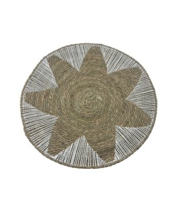 Adorno de Pared Natural para Jardín, Decoración Moderna, Cuadro de Palma y Hierba Marina, Estilo Único para Interiores