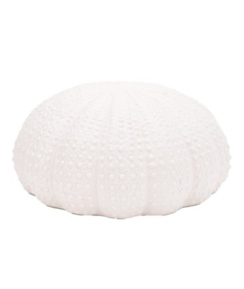 ORIGEN Home Decor Figura Coral Jarrones Y Portavelas | Figura Marinera Blanco - 12x25x25cm