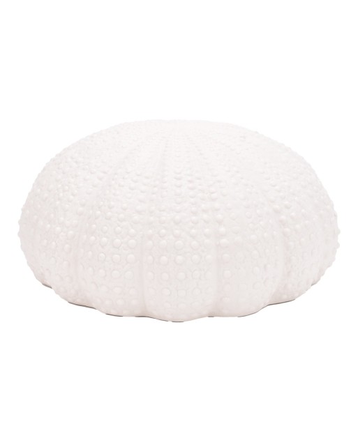 ORIGEN Home Decor Figura Coral Jarrones Y Portavelas | Figura Marinera Blanco - 12x25x25cm