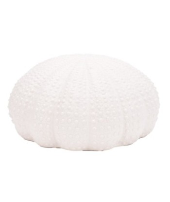 ORIGEN Home Decor Figura Coral Jarrones Y Portavelas | Figura Marinera Blanco - 12x25x25cm