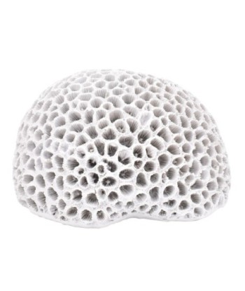 ORIGEN Home Decor Figura Coral Jarrones Y Portavelas | Figura Marinera Blanco - 10x15x14cm