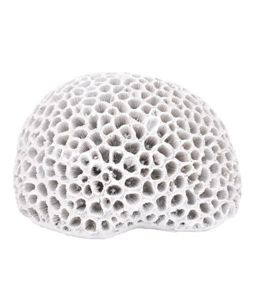 ORIGEN Home Decor Figura Coral Jarrones Y Portavelas | Figura Marinera Blanco - 10x15x14cm