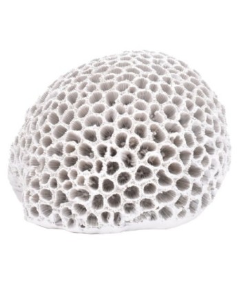 ORIGEN Home Decor Figura Coral Jarrones Y Portavelas | Figura Marinera Blanco - 10x15x14cm