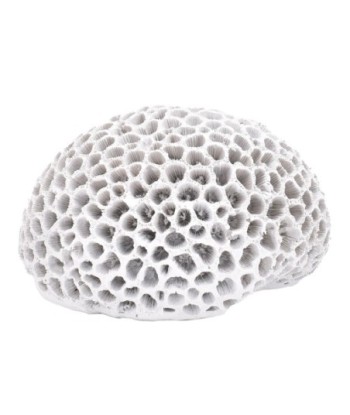 ORIGEN Home Decor Figura Coral Jarrones Y Portavelas | Figura Marinera Blanco - 10x15x14cm