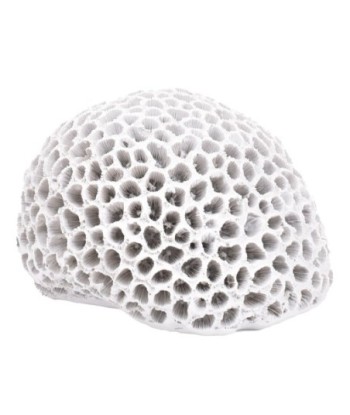 ORIGEN Home Decor Figura Coral Jarrones Y Portavelas | Figura Marinera Blanco - 10x15x14cm