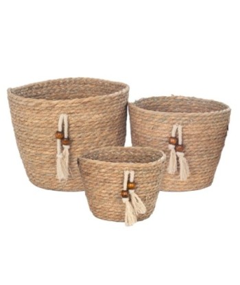 Cestas de Almacenamiento Decorativas S/3 para Organización del Hogar, Cestas de Seagrass para Decoración Natural