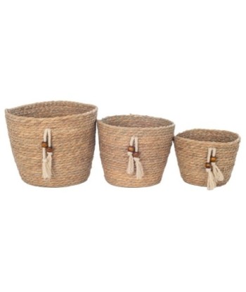 Cestas de Almacenamiento Decorativas S/3 para Organización del Hogar, Cestas de Seagrass para Decoración Natural