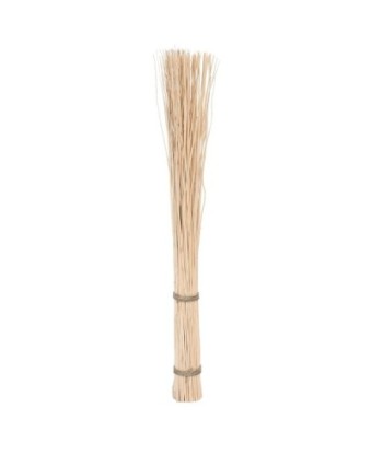 Rama Decorativa de Sauce Natural para Decoración de Interiores, Accesorios de Hogar, Estilo Orgánico y Elegante
