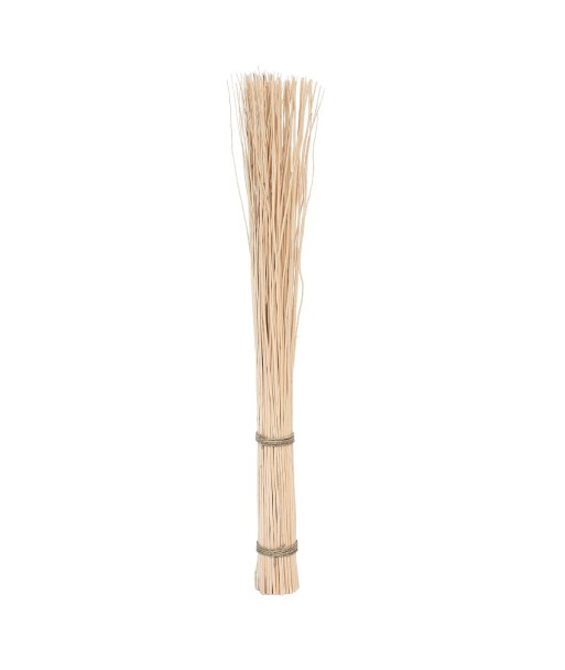 Rama Decorativa de Sauce Natural para Decoración de Interiores, Accesorios de Hogar, Estilo Orgánico y Elegante