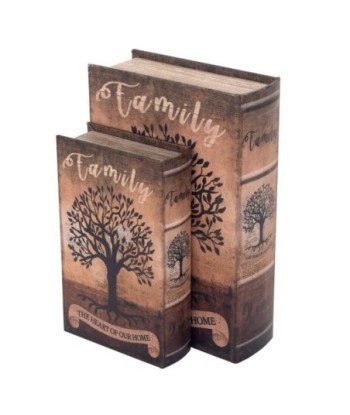 ORIGEN Home Decor Caja libro 2 Unidades Árbol Cajas Libro | Cajas de libro Marrón Rectangular - 27x18x7cm