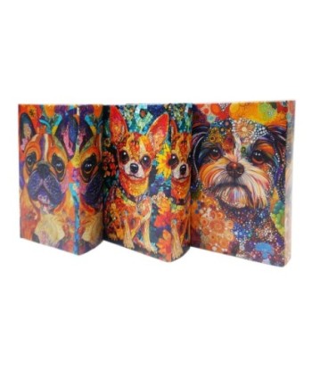 Caja Libro Perro 3 Diferentes Diseños, Caja Decorativa Bohemia para Almacenamiento, Ideal como Regalo