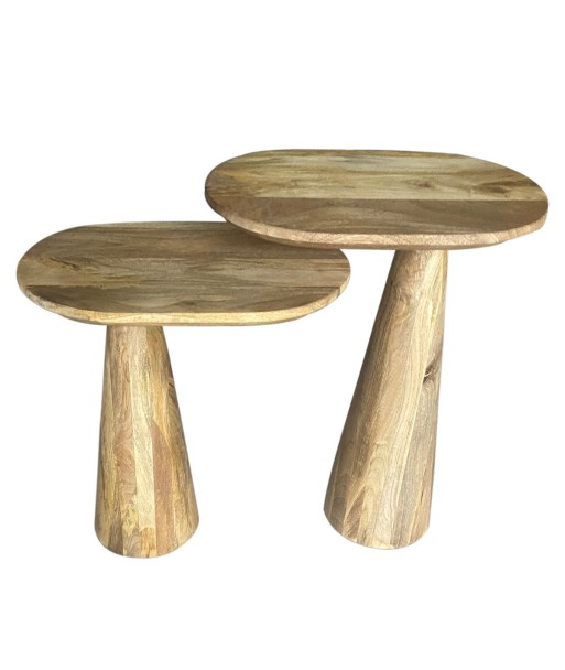 ORIGEN Home Decor Mesas 2 U Mueble Auxiliar | Mesa auxiliar Marrón - 60x46x30cm