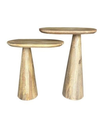 ORIGEN Home Decor Mesas 2 U Mueble Auxiliar | Mesa auxiliar Marrón - 60x46x30cm