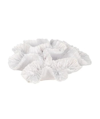 ORIGEN Home Decor Figura Coral Marinero | Figura Marinera Blanco - 5x15x13cm