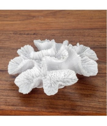ORIGEN Home Decor Figura Coral Marinero | Figura Marinera Blanco - 5x15x13cm