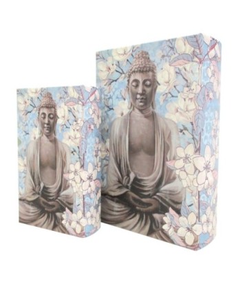 ORIGEN Home Decor - Caja libro Buda Pack 2 Unidades Decoracion | Cajas Libro Azul - 27x7x18 cm