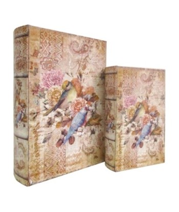 ORIGEN Home Decor - Cajas Libro Pájaros Pack 2 Unidades Decoracion | Cajas Libro Marrón - 27x7x18 cm