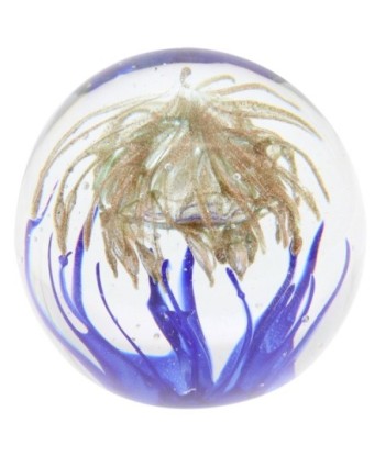 ORIGEN Home Decor - Pisapapel  Regalo | Pisapapeles Transparente - 9x10x10 cm