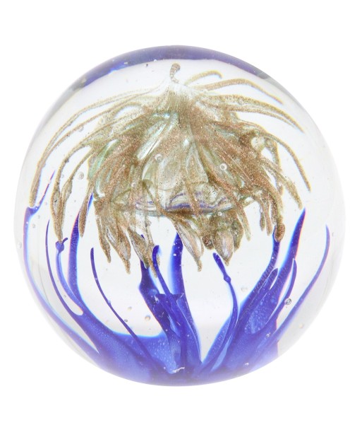 ORIGEN Home Decor - Pisapapel  Regalo | Pisapapeles Transparente - 9x10x10 cm