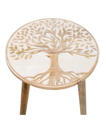 ORIGEN Home Decor - Mesa Rústica Árbol Vida  Muebles | Mueble Auxiliar Marrón - 47x39x39 cm
