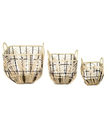 Signes Grimalt By SIGRIS - Cestas fruta con asas 3 Uni. Marrón de Espadaña | Cesta Cesta Decorativa Cesta Baño