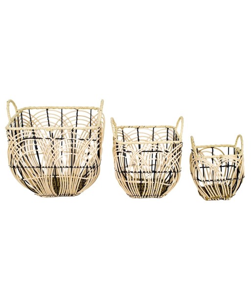 Signes Grimalt By SIGRIS - Cestas fruta con asas 3 Uni. Marrón de Espadaña | Cesta Cesta Decorativa Cesta Baño