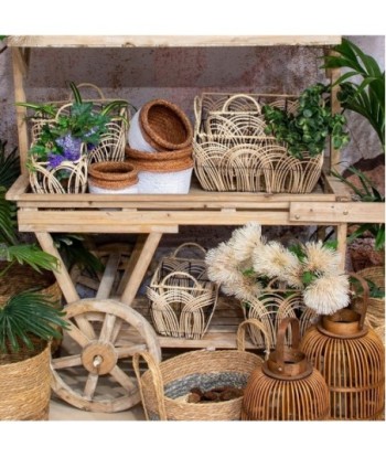 Signes Grimalt By SIGRIS - Cestas fruta con asas 3 Uni. Marrón de Espadaña | Cesta Cesta Decorativa Cesta Baño