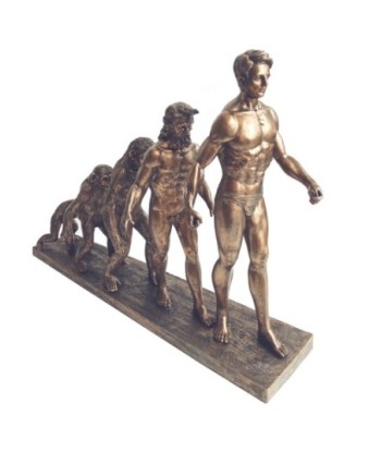 Signes Grimalt By SIGRIS - Figura Evolución ser humano Dorado de Resina | Figura Bronce Figuras Decorativas Decoracion
