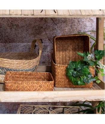 Signes Grimalt By SIGRIS - Cestas almacenaje 3 Unidades Marrón de Fibra Vegetal-Cuerda | Cesta Cesta Decorativa