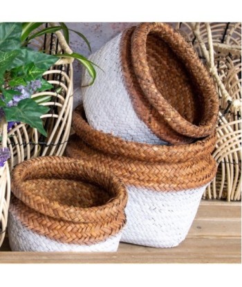 Signes Grimalt By SIGRIS - Cestas redondas 3 Unidades Blanco de Fibra Vegetal-Cuerda | Cesta Cesta Decorativa