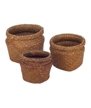 Signes Grimalt By SIGRIS - Cestas redondas 3 Unidades Marrón de Fibra Vegetal-Cuerda | Cesta Cesta Decorativa