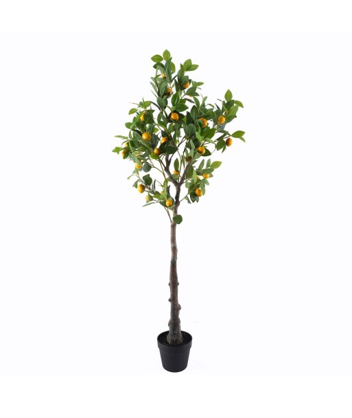Árbol Limón Artificial Xgra 160 cm - Decoración Naturalista para Hogar, Oficina y Eventos - Planta Verde Realista