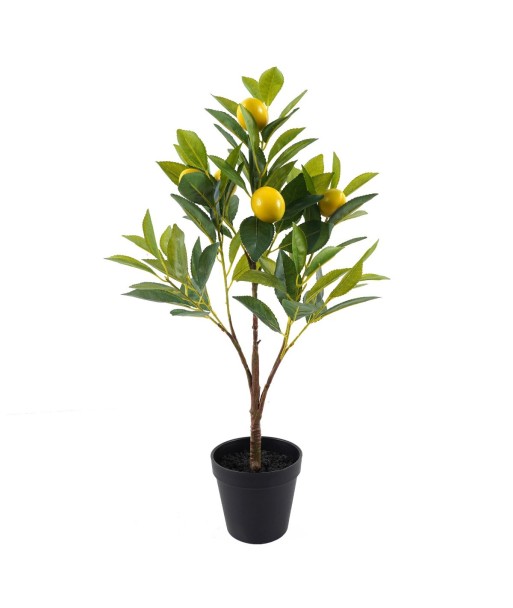 Árbol Limonero Pequeño Artificial para Decoración de Jardín y Hogar, Planta de PVC Realista para Interior y Exterior